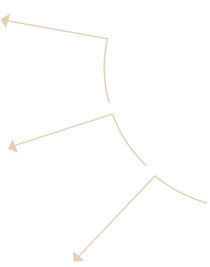 Left Arrow